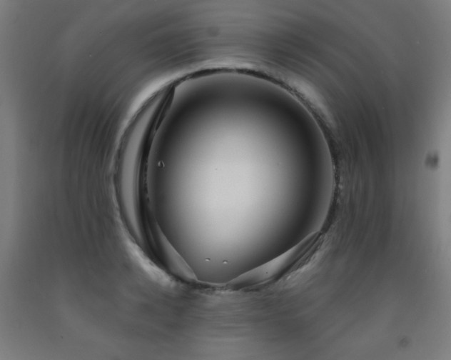 X0000093240942200709261706
