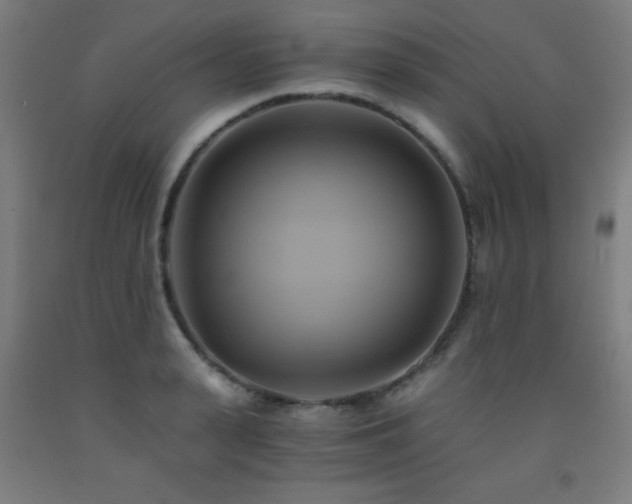 X0000093240943200709261706