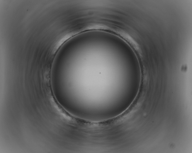 X0000093240945200709261706