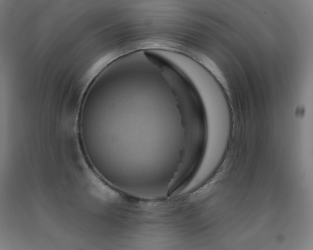 X0000093240946200709261706
