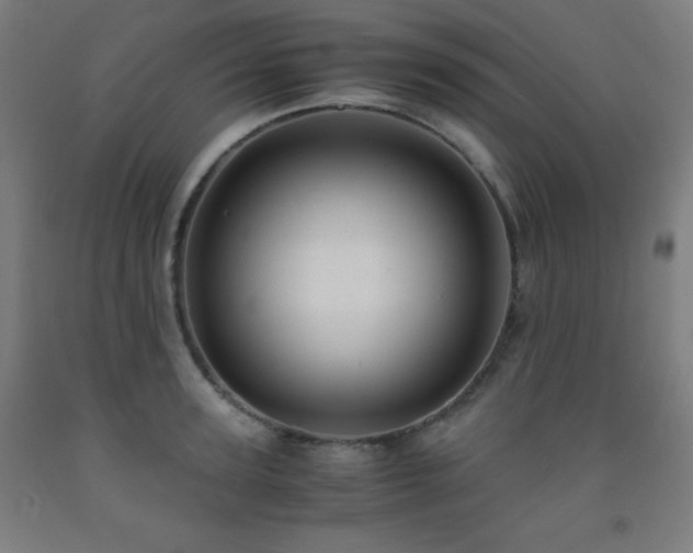 X0000093240947200709261706