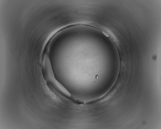 X0000093240948200709261706