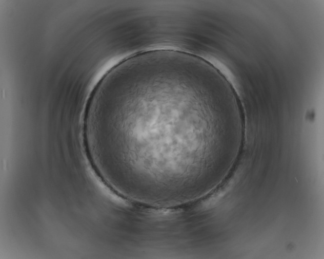 X0000093240949200709261706
