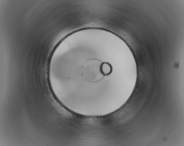 X0000093240950200709261706