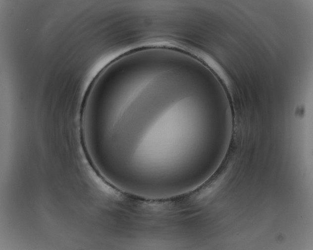 X0000093240951200709261706