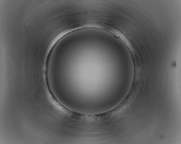 X0000093240955200709261706