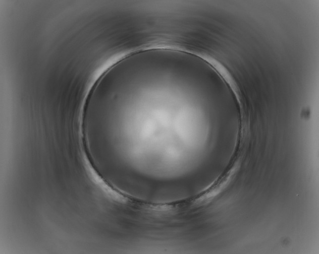 X0000093240957200709261706