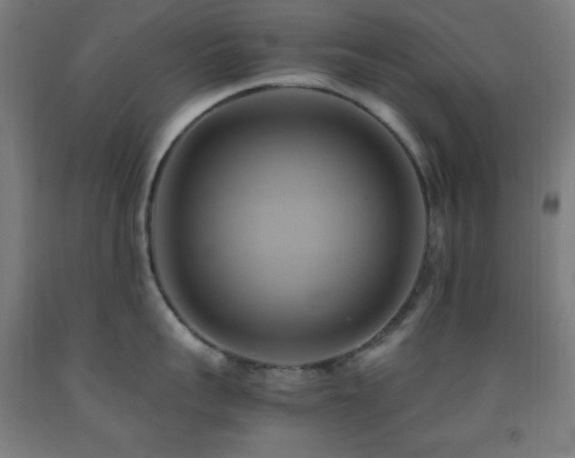 X0000093240959200709261706