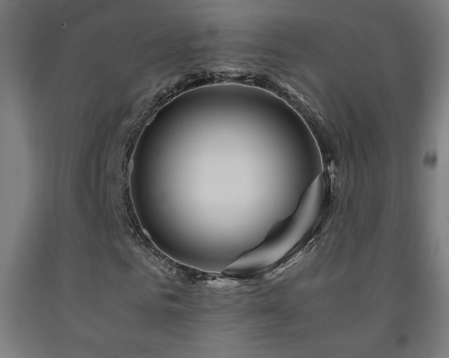 X0000093240961200709261705