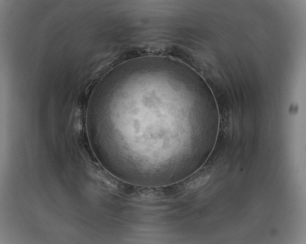 X0000093240962200709261705