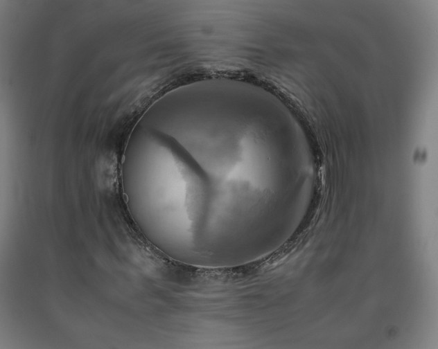 X0000093240963200709261705