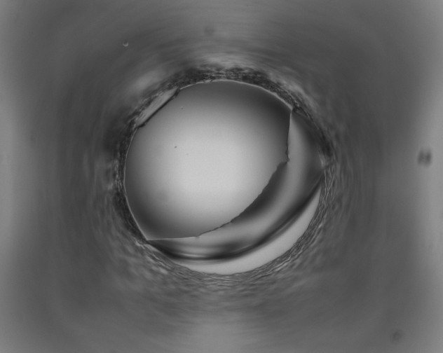 X0000093240965200709261705