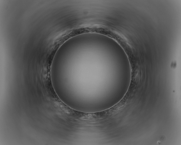 X0000093240966200709261705