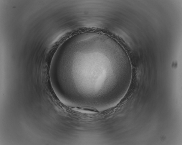 X0000093240968200709261705