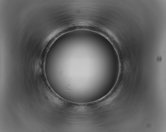 X0000093240970200709261705