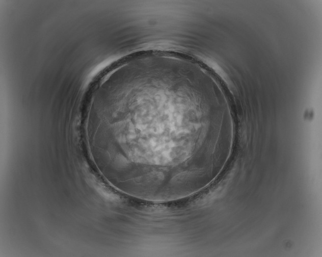 X0000093240971200709261705