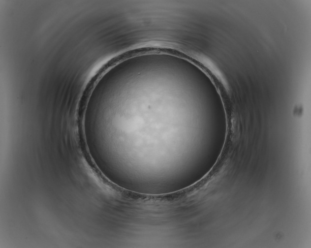 X0000093240972200709261705