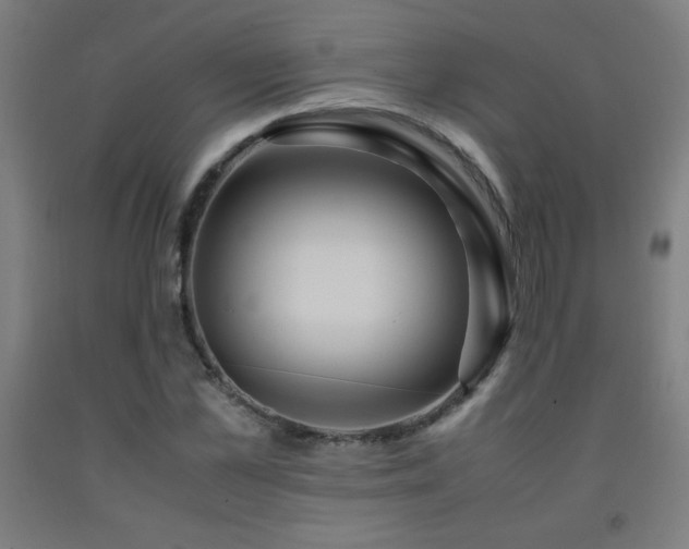 X0000093240973200709261705