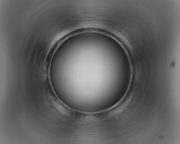X0000093240974200709261705