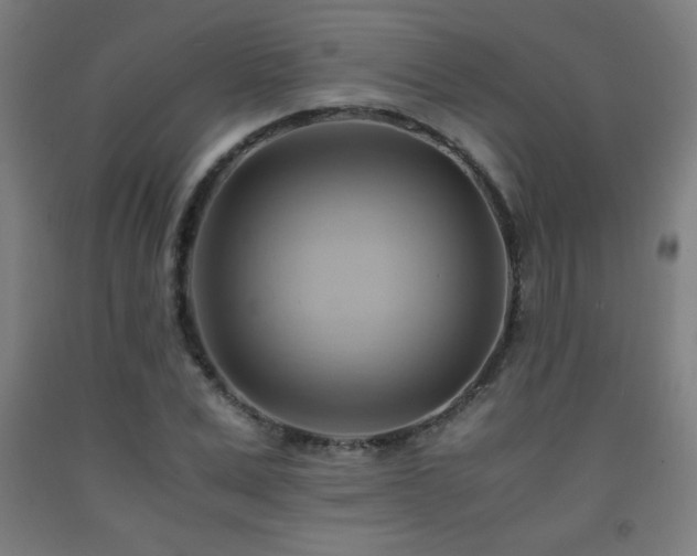 X0000093240975200709261705