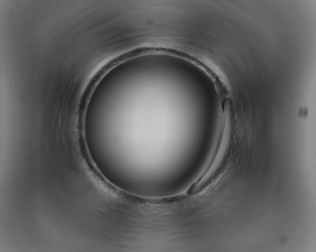 X0000093240976200709261705