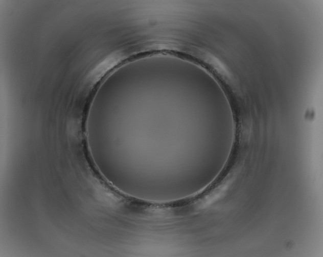 X0000093240977200709261705