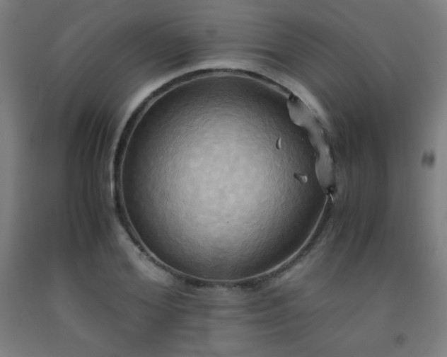 X0000093240980200709261705