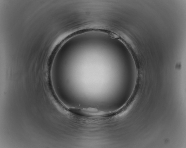 X0000093240981200709261705