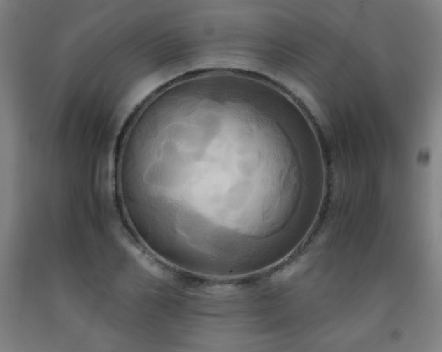 X0000093240982200709261705