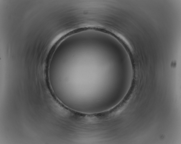 X0000093240983200709261705