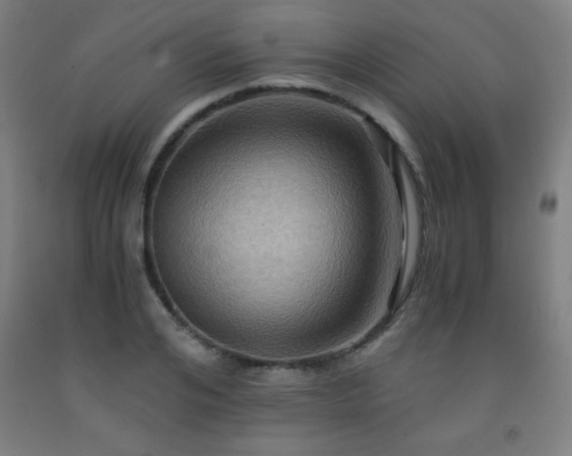 X0000093240984200709261705