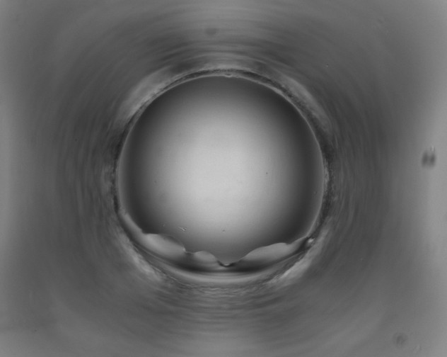X0000093240985200709261705