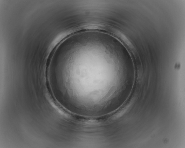 X0000093240986200709261705