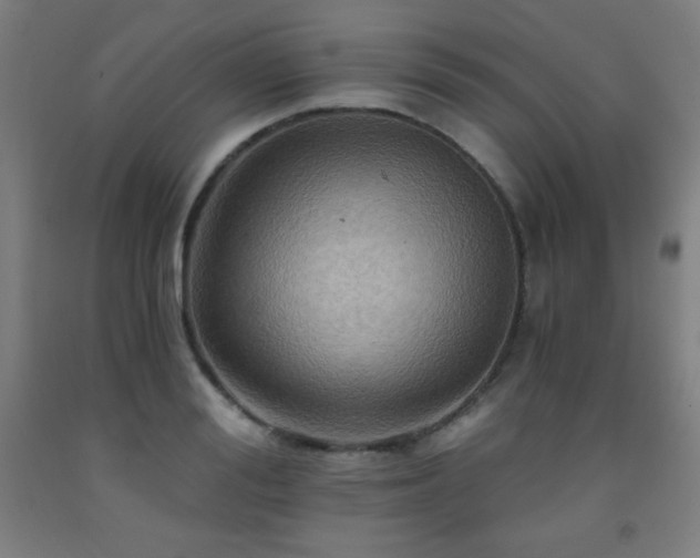 X0000093240988200709261705
