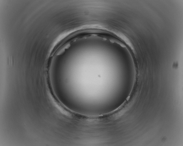 X0000093240989200709261705
