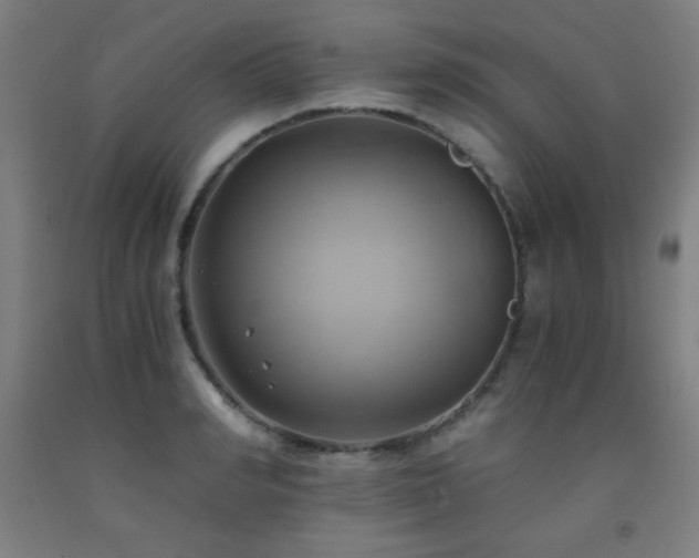 X0000093240990200709261705