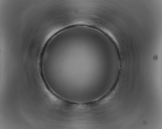 X0000093240991200709261705