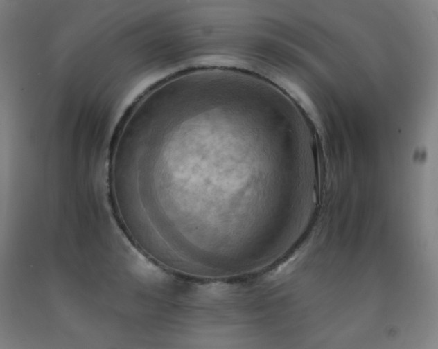 X0000093240992200709261705