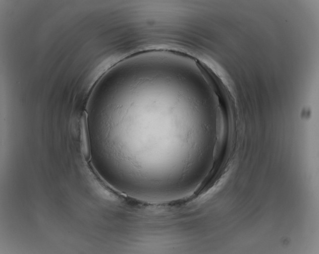 X0000093240993200709261705