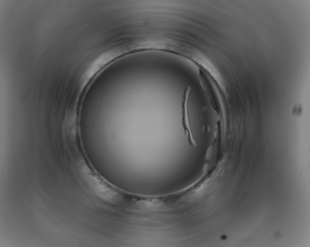 X0000093240994200709261705