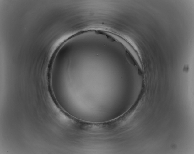 X0000093240995200709261705