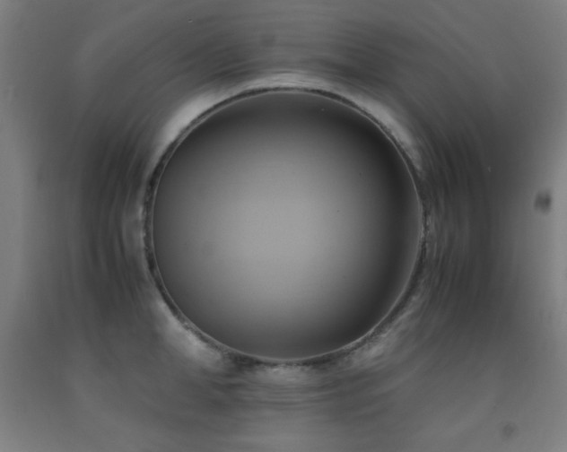 X0000093240998200709261705