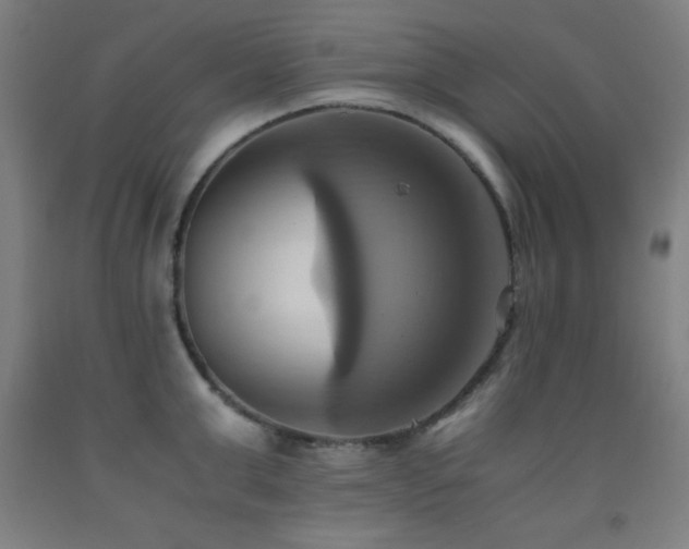 X0000093240999200709261705