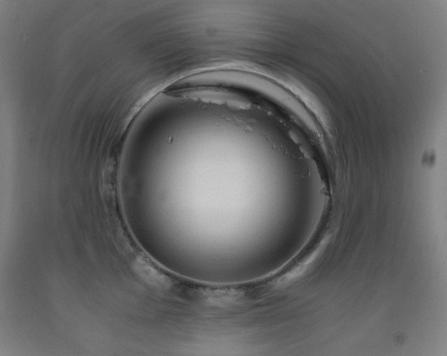 X0000093241001200709261705