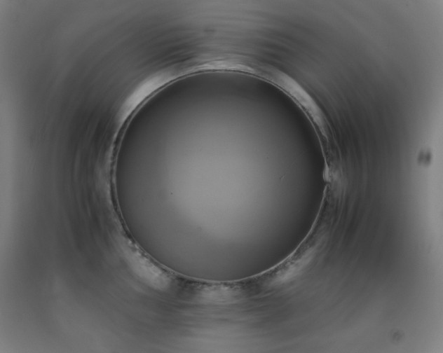 X0000093241002200709261705