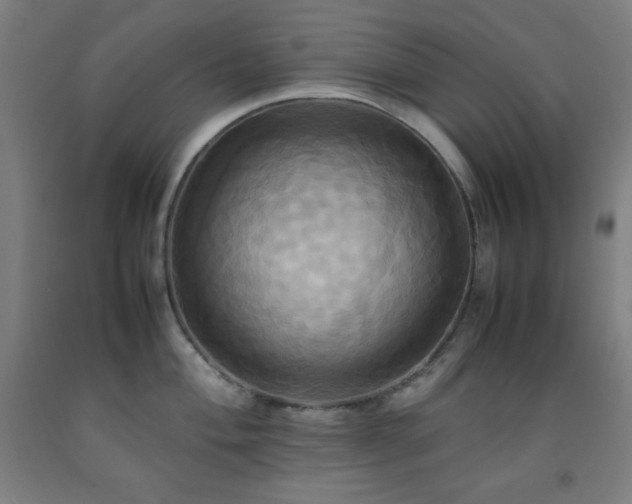 X0000093241004200709261705