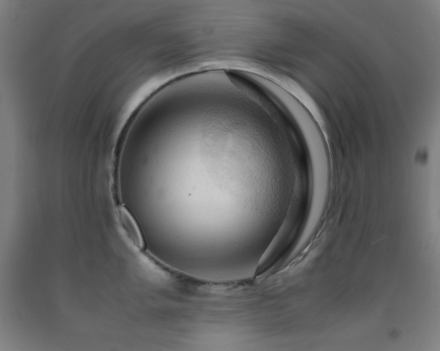 X0000093241005200709261705