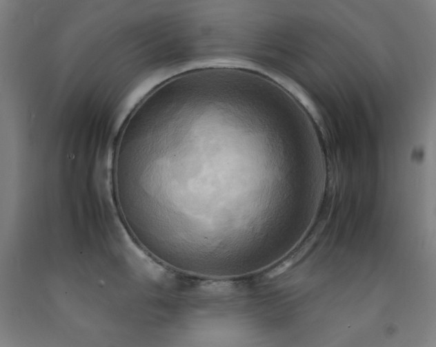 X0000093241006200709261705