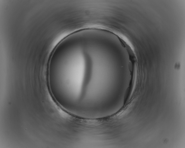 X0000093241007200709261705