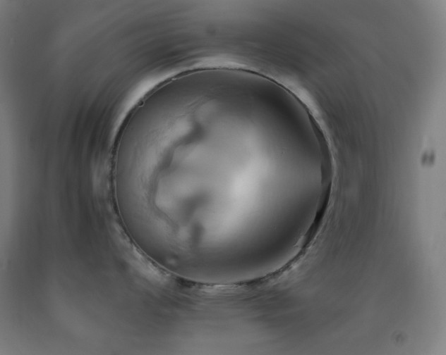 X0000093241008200709261705